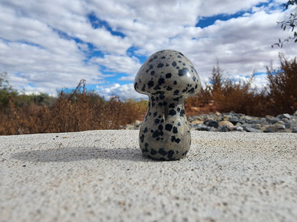 Carving  - Medium Mushroom - Multiple Stone Options - 38mm