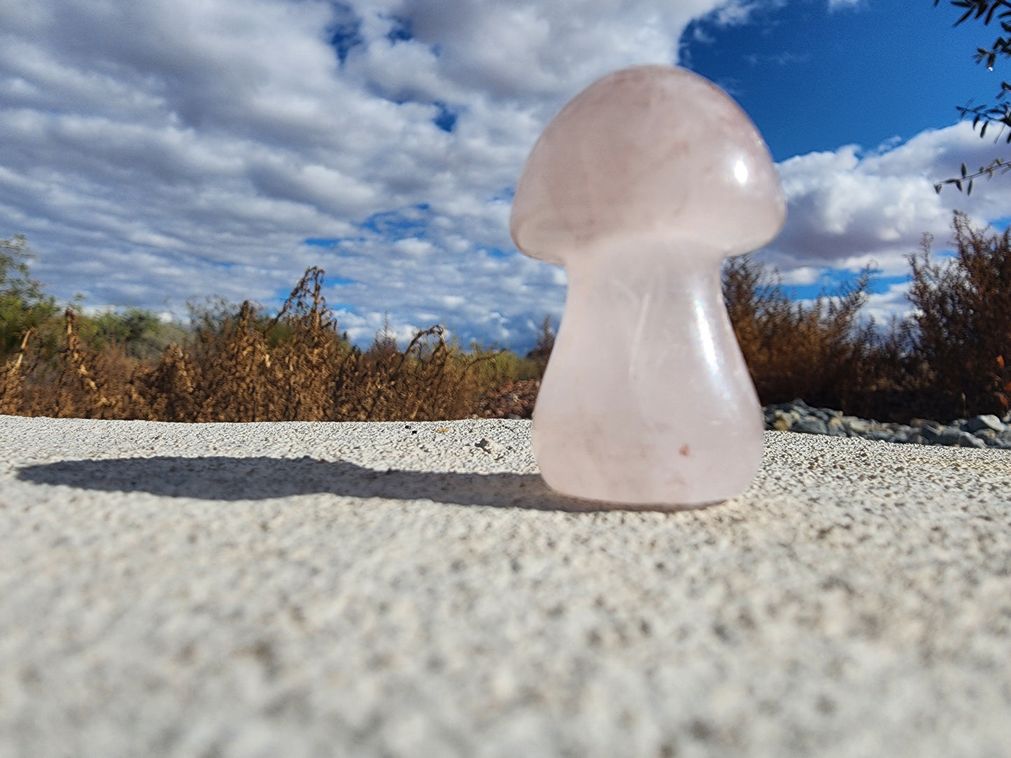 Carving  - Medium Mushroom - Multiple Stone Options - 38mm