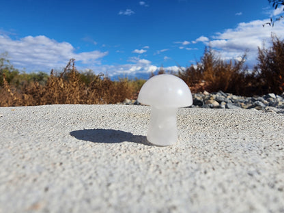 Carving - Mini Mushroom  - Multiple Stone Options - 20mm