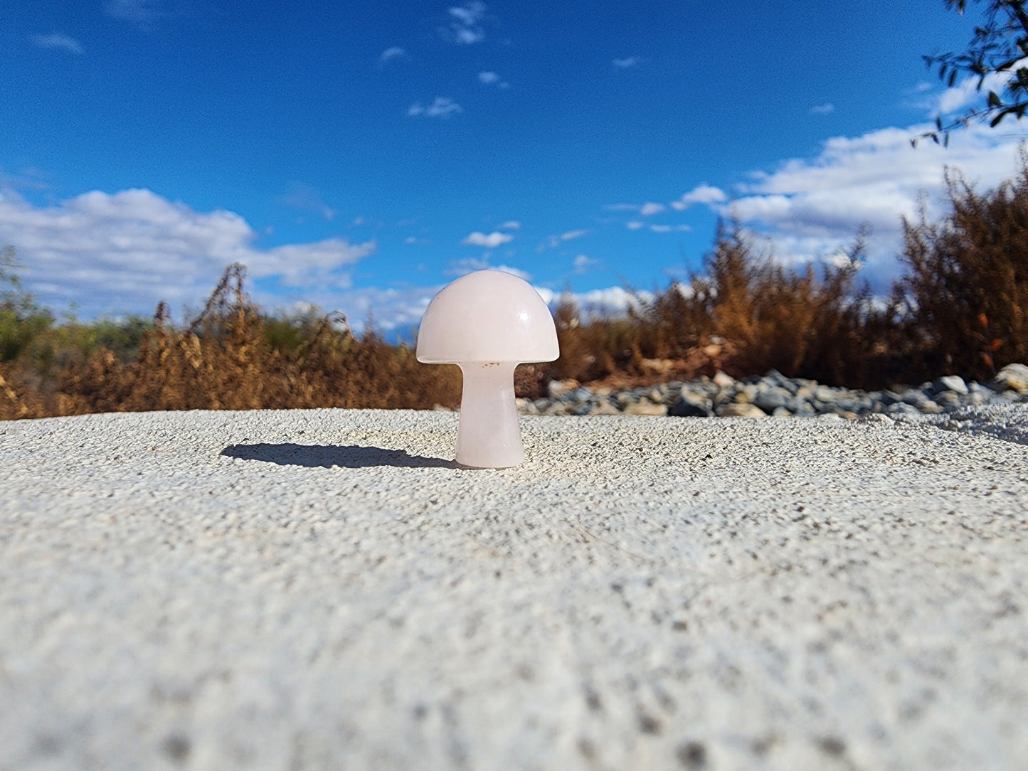 Carving - Mini Mushroom  - Multiple Stone Options - 20mm