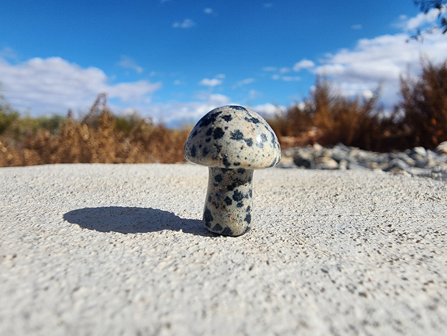 Carving - Mini Mushroom  - Multiple Stone Options - 20mm