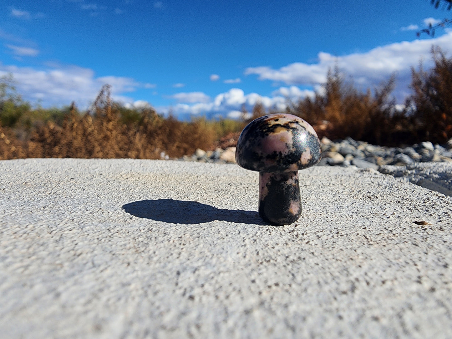 Carving - Mini Mushroom  - Multiple Stone Options - 20mm