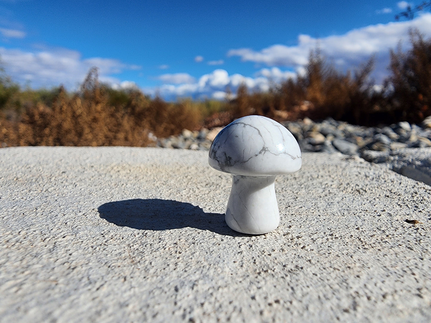 Carving - Mini Mushroom  - Multiple Stone Options - 20mm