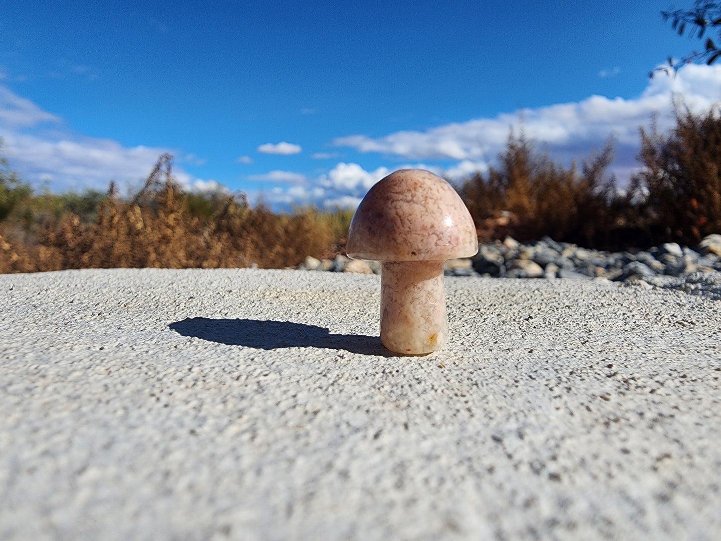 Carving - Mini Mushroom  - Multiple Stone Options - 20mm