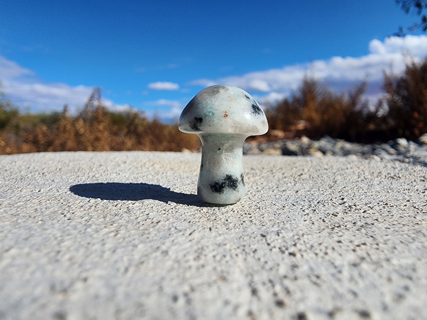 Carving - Mini Mushroom  - Multiple Stone Options - 20mm