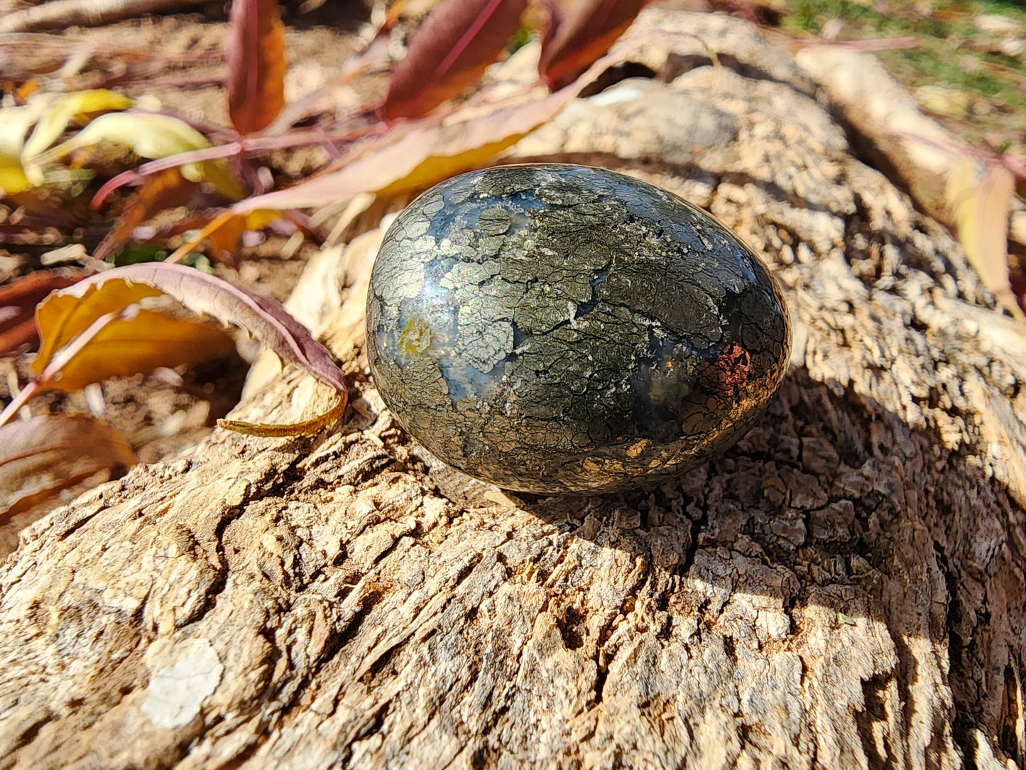 Tumble - Pyrite Agate - Multiple Size Options