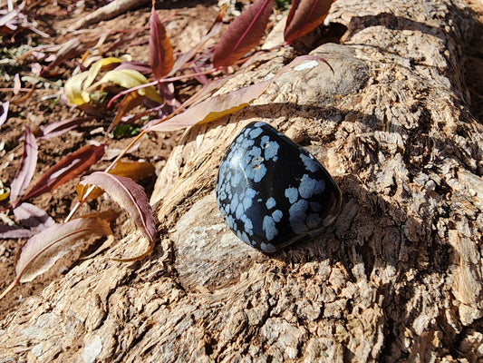 Tumble - Snowflake Obsidian - Multiple Size Options