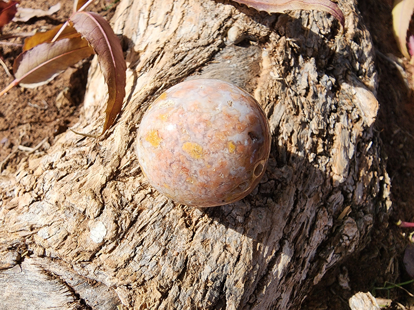 Tumble - Flower Agate - Multiple Size Options