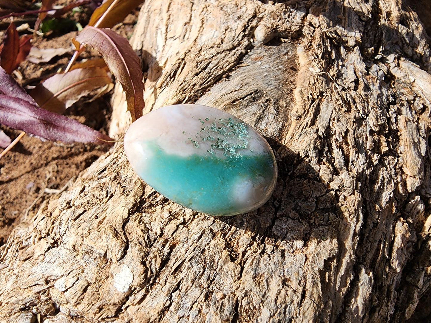 Tumble - Green Flower Agate - Multiple Size Options