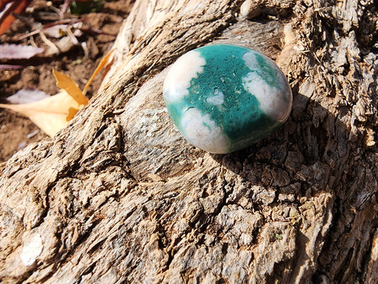 Tumble - Green Flower Agate - Multiple Size Options