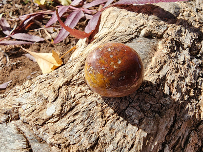 Tumble - Flower Agate - Multiple Size Options