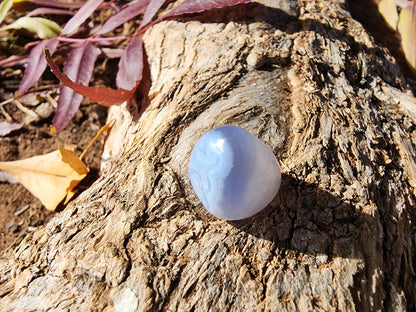 Tumble - Blue Lace Agate - Multiple Size Options