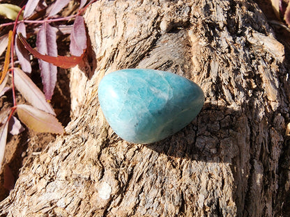 Tumble - Amazonite - Multiple Size Options