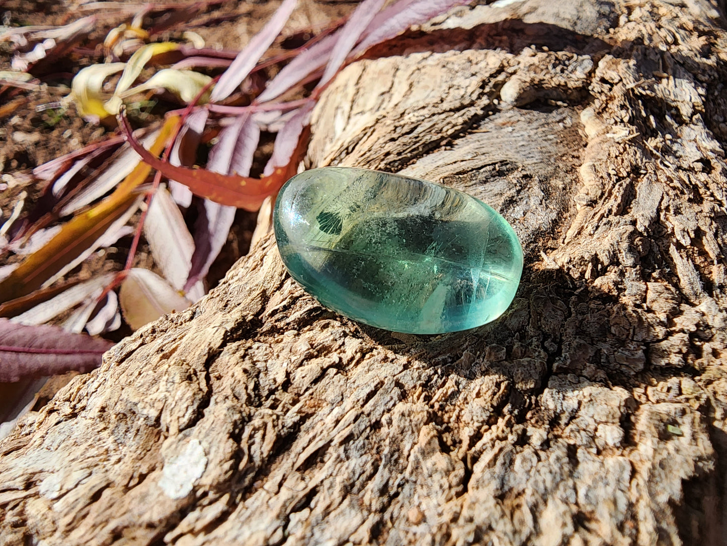 Tumble - Fluorite - Multiple Size Options