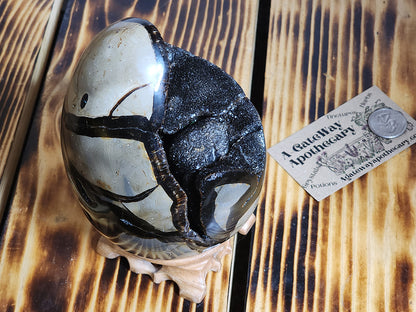 Egg - Druzy Septarian Dragon Egg Geode Ammonite - 144x102mm/5.7"x4"